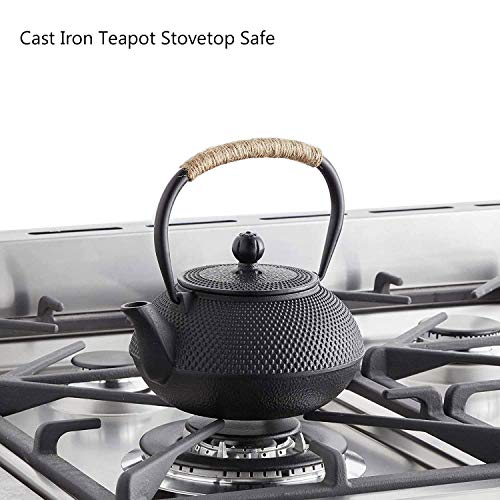 Hwagui Tea Kettle, Japanese Cast Iron Teapot, Tea Pot with Infuser for