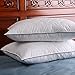 DOWNIGHT Set of 2, Down and Feather Pillow Double Layered Fabric Bed Pillow, 100% Cotton Fabric, Standard/Queen