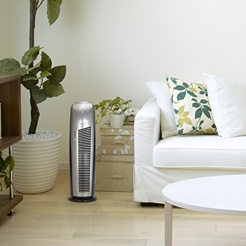 PureGuardian AP2200CA Air Purifier with High Performance Allergen Filter, Captures Allergens, Smoke, Odors, Mold, Dust, Pets, Smokers, Germ Guardian 22" Home Air Purifier