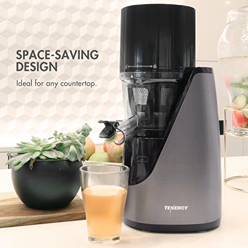 Tenergy Masticating Juicer, Anti-Oxidation Slow Speed Cold Press Juicer, High Nutrient Fresh Vegetable and Fruit Juice Extractor, Easy to Clean Juicer with Jug and Brush