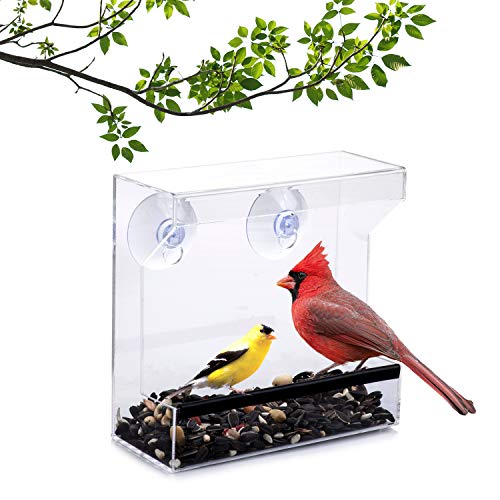 Amazon Com Wild Birds Of Joy Window Bird Feeder With Super