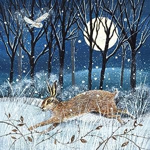 Museums and Galleries Charity Christmas Cards Pack of 8 - Charity Christmas Cards 2024 with Snowy Moonlit Hare and Owl Design - Eco-Friendly Xmas Cards Multipack with Envelopes