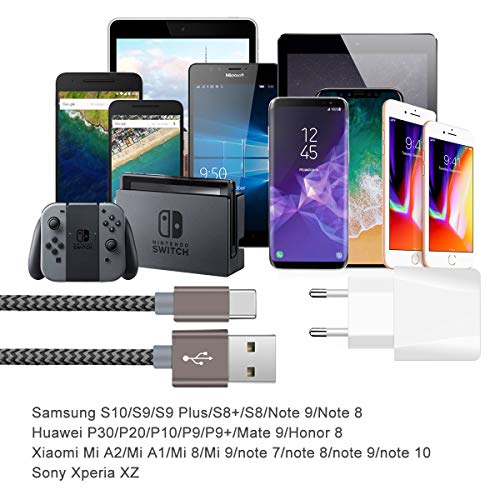 IceFrog Cargador Movil con Cable USB Tipo c [2Pack 2M], Cargador de Movil con 2 Puertos para Samsung S10/S9/S9 Plus/S8+/S8,Note 9/8,Huawei P30/P20/P10/P9/P9+,Xiaomi Mi A2/A1/8/9,Note 7/8/9/10 y más