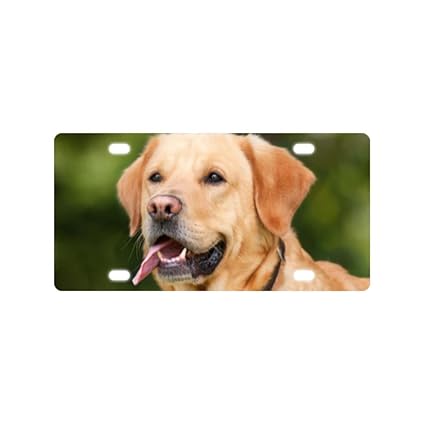 Auto Accessories Golden Retriever Personalized License Plate