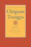 The Collected Works of ChÃ¶gyam Trungpa, Volume 10: Work, Sex, Money - Mindfulness in Action - Devotion and Crazy Wisdom - Selected Writings