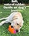 XL Fish - Squeaky Dog Toy - Natural Rubber (Latex) - for Large Breed Dogs - 8