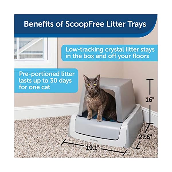 PetSafe ScoopFree Complete Plus SelfCleaning Cat Litter Box with Front