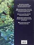 Image de Les mondes cachés : l'arbre-forêt