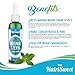 NatriSweet Original Stevia Liquid Drops | Highly Concentrated Stevia Extract Sugar Substitute | Naturally Sweet | Unflavored (2 fl oz/60 ml)