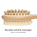 Denavio Dry Brushing Body Brush - Vegan Cellulite Massager and Exfoliating Lymphatic Scrub Brush for Radiant and Smoother Skin