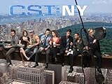 CSI: NY, Season 05
