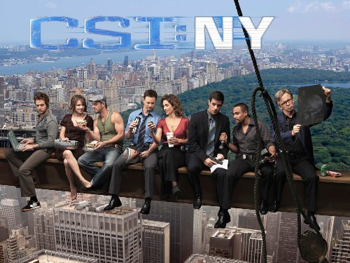 CSI: NY, Season 05