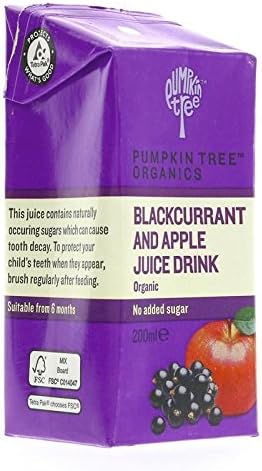 Pumpkin Tree Organics | Blackcurrant & Apple Juice | 12 x 200ml (UK)