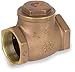 Smith-Cooper International 9191 Series Brass Swing Check Valve, 2