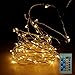 Rayhoo Outdoor String Lights, Dimmable LED String Lights for Bedroom, Patio, Party, Christmas Tree, Decorations ( 100 LEDs, 33 ft Copper Wire, Remote Control ) (Warm white)