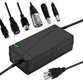 QKDIM 58.8V 5A Charger with 6-in-1 Plug for 52V Lithium Battery Such as Car Truck Lawn Mower Boat Marine Batteries (58.8V5A-(6-in-1 Plug))