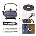 Cast Iron Teapot Stovetop 34 Oz Japanese Style Testubin Tea Kettle Tea Pot with Stainless Steel Infuser Enamel Interior (Blue Floral,1000 ml,Large)