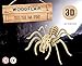 WoodFlair 3D Wooden Puzzle, Set of 3, Insect