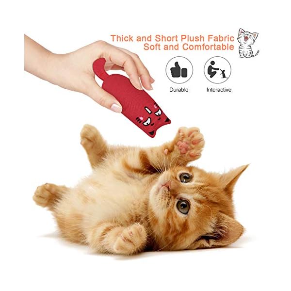 Bojafa-Cat-Catnip-Toys-3-Pack-Cat-Plush-Scratch-Playing-Chewing-Teeth-Cleaning-Creative-Pillow-Scratch-Pet-Catnip-Teeth-Grinding-Chew-Toys Bojafa Cat Catnip Toys 3 Pack Interactive Cat Teeth Cleaning Plush Toys for Indoor Cats Kitten- Creative Scratch Chewing…