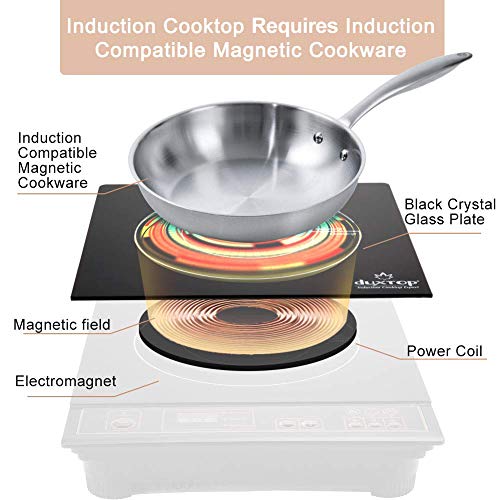 Duxtop-1800W-Portable-Induction-Cooktop-Countertop-Burner-Gold