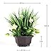 Binnny Flower Artificial Potted Plant with Gardenia Flowers in Brown Plastic Planter for Home, Office, Indoor and Outdoor Occasions Decor