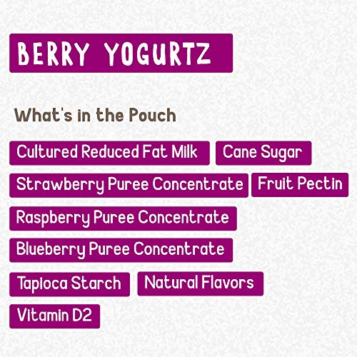 3 GoGo+YogurtZ+Portable+BPA+Free+Gluten+Free