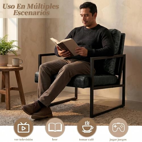 Simple Wisdom Sillon Individual,Sillones Para Sala,Sillones Individuales Viene Con Cojines y Almohadas,Marco de Metal,Fácil montaje,60*58*79 CM,Adecuado Para Sala Estar,Dormitorio,Oficina(Negro-1)