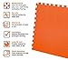 Wacces 12 x 12 inch Multi-Purpose Puzzle EVA Floor Interlocking Foam Exercise Mat Tiles