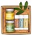 Natural Herbal Skin Care Travel Size Salve and Balm, Minty Cocoa, Vanilla, Earl Grey, 1 oz Touchy Skin Salve, 1 oz All Purpose Salve