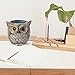 ANTS Speaker Stand Case Compatible Amazon Echo Dot (2nd or 1st Generation). Alexa Echo Dots Owl Statue Crafted Guard Station （Brown）