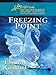 Freezing Point (Love Inspired Suspense) by Elizabeth Goddard
