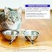 Wellness Complete Health Pate Adult Wet Cat Food, Natural, Protein-Rich, Grain Free, 12.5 Ounce, 12 Pack, (Beef & Chicken)