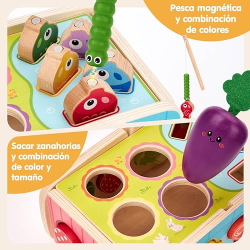 hahaland Montessori Toys 1 Year of Wood, 5 in 1 Educational Activities | Shape Sorting, Magnetic Fishing & Feeding Set, Carrot Harvest, Baby Gift 1-3 Years