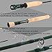 M MAXIMUMCATCH Maxcatch Extreme Graphite Fly Fishing Rod 4-Piece 9 Feet with IM7 Carbon Blank, Hard Chromed Guides, A Cork Grip（Size:3/4/5/6/8wt） (Extreme Rod, 9ft 10weight)