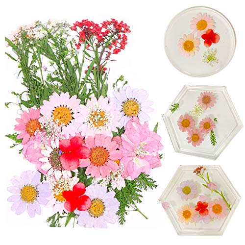 Aunifun Real Dried Pressed Flowers Assorted Colorful Daisies for Art Craft DIY Silicone Coaster Resin Molds - Thumbnail 6