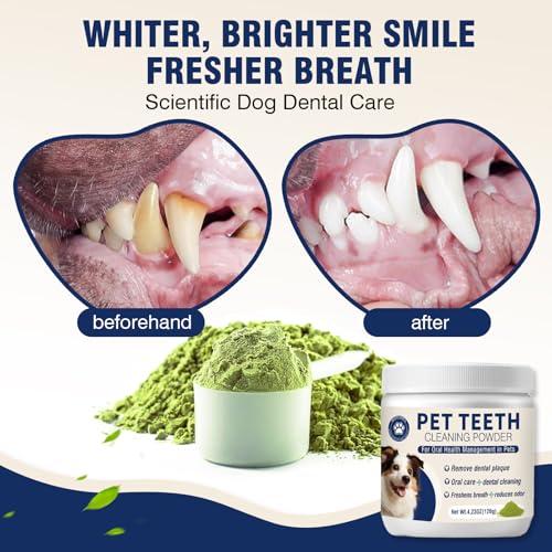 Dental Powder for Dogs Dog Teeth Cleaning Products Dog Tooth Cleaning Powder with Probiotics for Dogs Bad Breath Treatment Plaque and Tartar for Small Medium and Large Pet Dental Cleaner 120 Grams