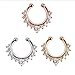 Septum Fake Nose Ring Jewelry,Women Girls Septum Ring Faux Nose Rings Non-Piercing Jewelry Clip On Clicker (6 PCS)