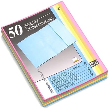 Rainex Folder 1 Horizontal Flap Card 250 g Pack of 50 Assorted