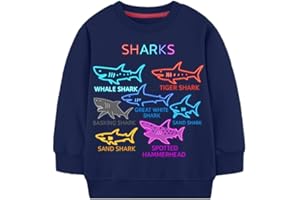 Cukipals Boys Cotton Crewneck Sweatshirt Size 2-10 Years Toddler Boys Kid Graphic Shirts