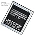 BasTex NEW BATTERY FOR SAMSUNG i437 SGH i437 GALAXY EXPRESS AT&T