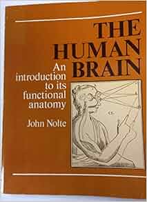 The Human Brain An Introduction To Its Functional Anatomy
