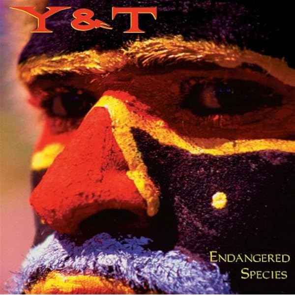 ARGYLLE Y&T / Musically Incorrect スコア Y & T - Musically