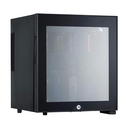 HWG Mini Congelador Refrigerador De 30 litros con Puerta De Vidrio ...