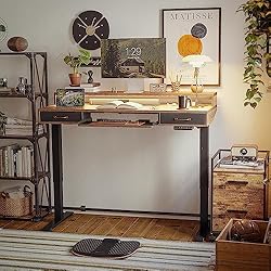 FEZIBO 48 x 24 Inch Height Adjustable Electric