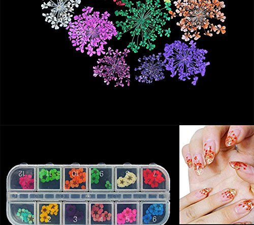image for MEILINDS Natural Real Dried Flower Case Nail Art Tips Sticker Decals D