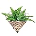 BLUECELL 1x Green Imitation Fern Plastic Artificial Grass Leaves Plant for Home Wedding Decor