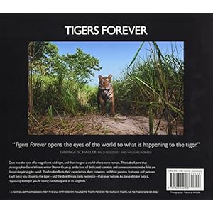 Tigers Forever: Saving the World's Most Endangered Big Cat