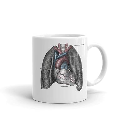 Gray's Anatomy Heart & Lungs | Cardiology Ghana | Ubuy