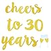 GOER cheers to 30 years and Champagne Glasses Gold Glitter Banner for 30th Birthday Party Decorations