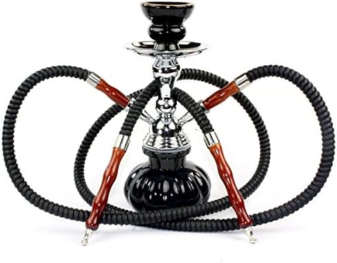 2 Hoses Pumpkin Hookah by Zebra Smoke
